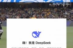 DeepSeek预测中澳之战：可能平局，大概率0-2或1-3