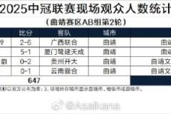 2025中冠联赛曲靖赛区AB组第2轮观众人数统计